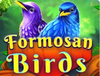 Formosan Birds Formosan Birds